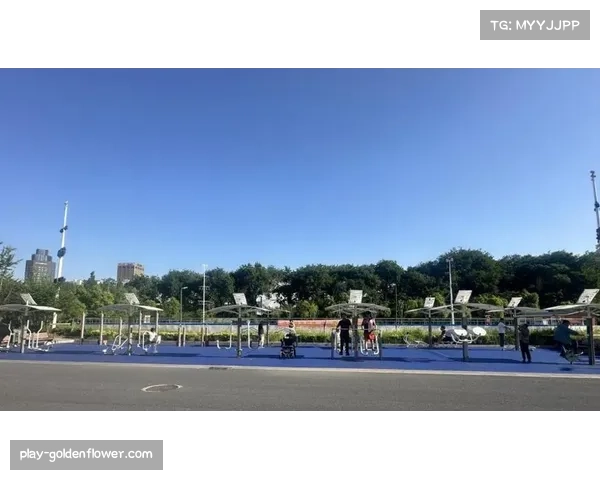 体育公益组织通过慈善赛事筹资 助力百社区更新健身设施