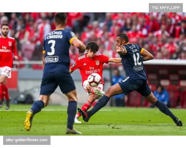 欧冠决赛移至布达佩斯举行 开球时间提前三小时方便观赛